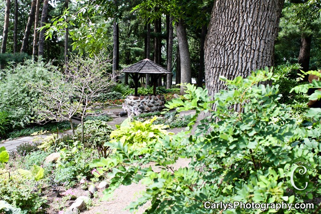 [St-Cloud-Gardens-254.jpg]