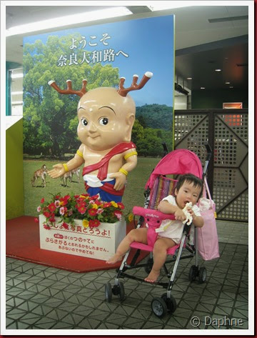 IMG_4994 IMG_4994