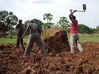 Workmen removing a large termite mound