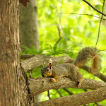IMG_3268-1.jpg