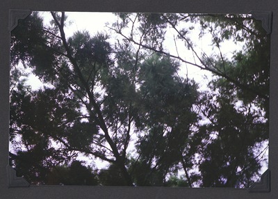 Scan-110914-0141