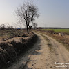 dsc06944.jpg