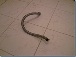 IMG_0736 IMG_0736