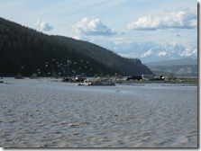 IMG_5791 IMG_5791