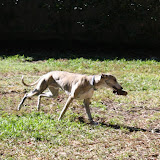 IMG_0361.JPG