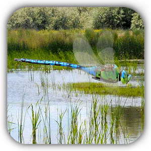 Alphaism Dragonfly.apk 1.4