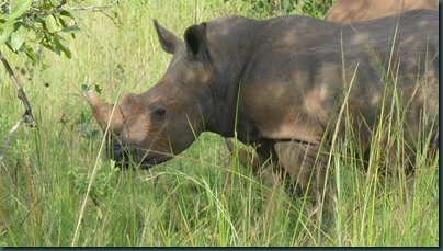 Ziwa 051 Ziwa 051