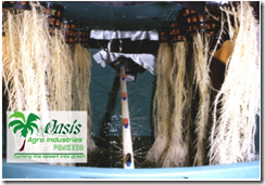 Build your Oasis aeroponics System