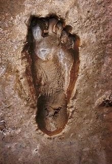 [footprint%255B3%255D.jpg]