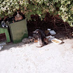 1998 (4).jpg