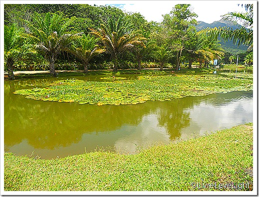 DSCN0657 DSCN0657