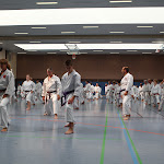 H25D2837.JPG