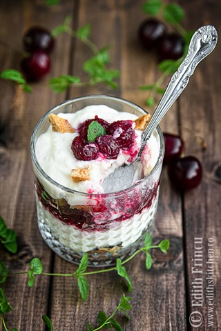 [tiramisu%2520cu%2520visine%25201%255B5%255D.jpg]