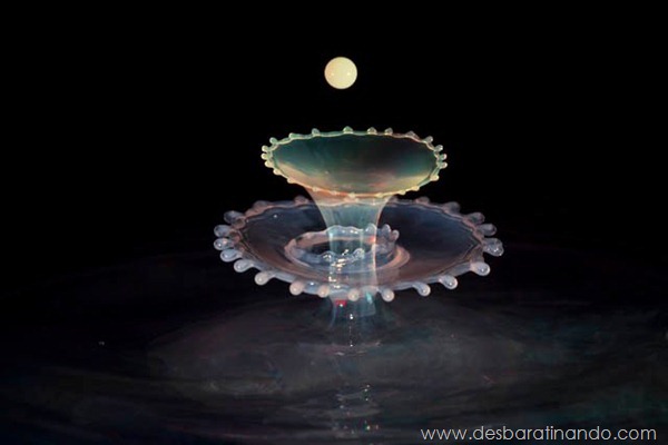 liquid-drop-art-gotas-caindo-foto-velocidade-hora-certa-desbaratinando (168) liquid-drop-art-gotas-caindo-foto-velocidade-hora-certa-desbaratinando (168)