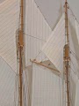 bluenose-13.jpg