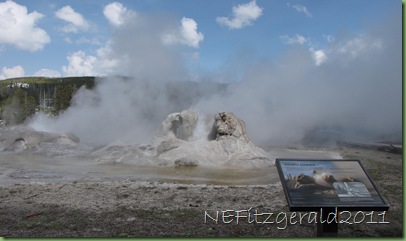 GrottoGeyserUpperGeyserBasin GrottoGeyserUpperGeyserBasin