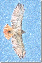 LJK_3288-v-LD-0 LJK_3288-v-LD-0