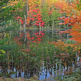 Fall Color and Reflections / Council Lake / Upper Michigan