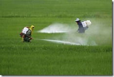 pesticidas pesticidas