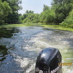 IMG_3479.JPG