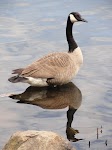 DSC03165.JPG