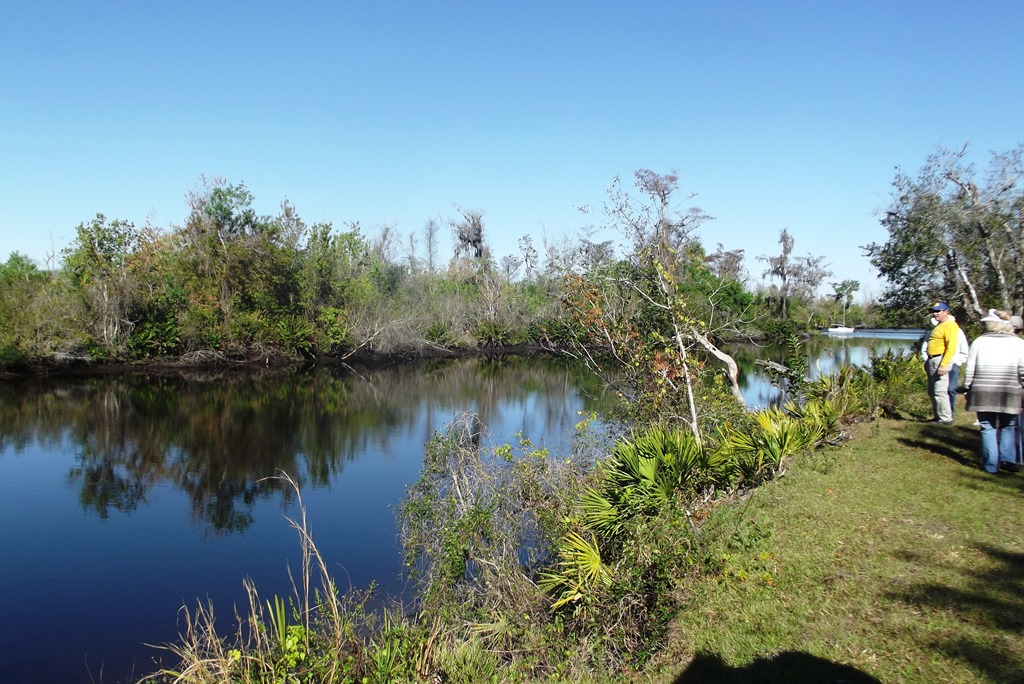 [DSCF6972%255B1%255D.jpg]