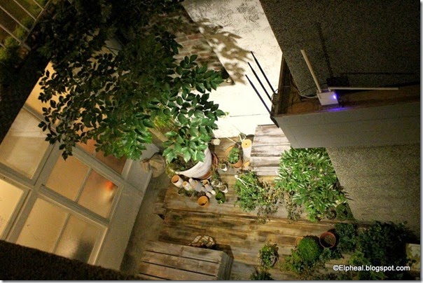 IMG_8421 IMG_8421