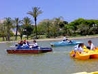 p1272886767(1).jpg