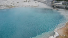 IMG_4159.jpg