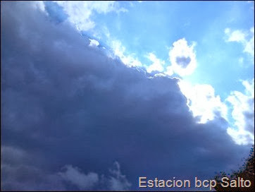 DSC_0008 DSC_0008