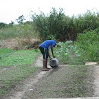 Farmers would have to carry buckets full of water from the pond to use for the crops. 2.jpg
