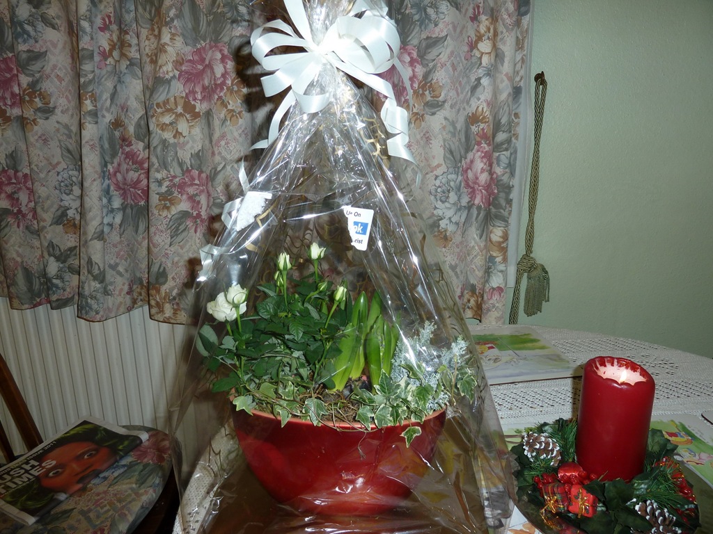 [P10307962.jpg]