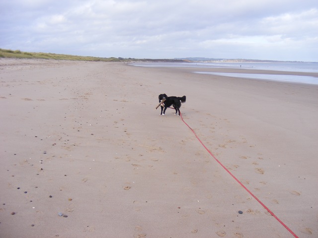 [Warkworth243.jpg]