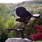 BronzeStainless'RedTail copy.jpg