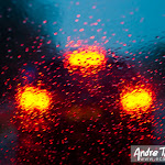tail lights