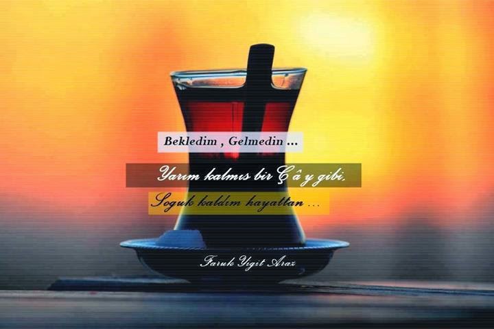 10428466 806788952679708 2131742108426226220 n