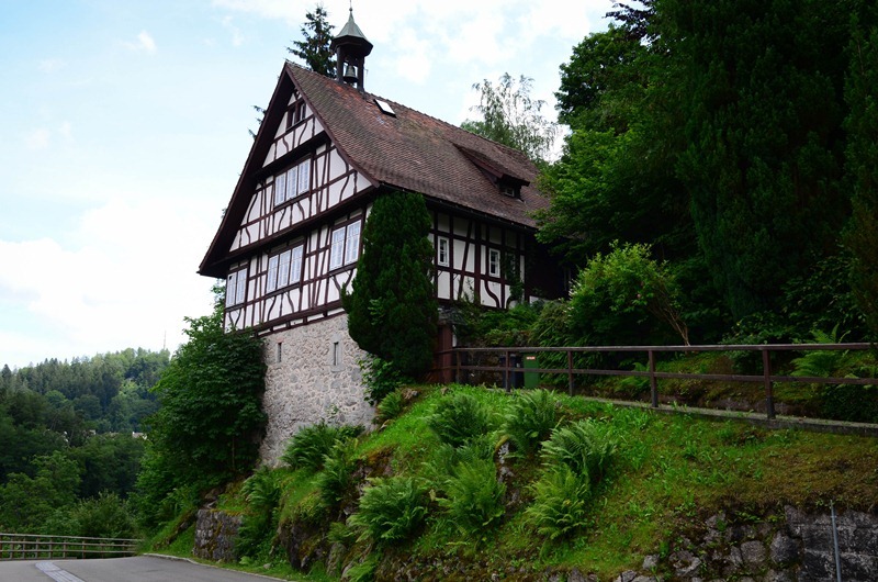 Triberg24
