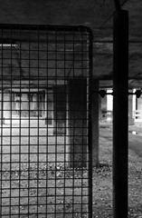 Under-the-Bridge-3