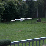 Cub Pack Holiday - Skreens Park 2012 - DSC_0151.jpg