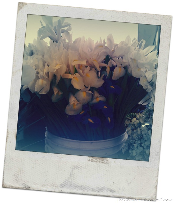 [Iris%2520Polaroid%255B3%255D.jpg]