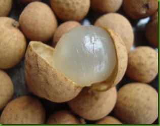Longan (8) Longan (8)