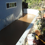2012-01-25 09.14.46.jpg