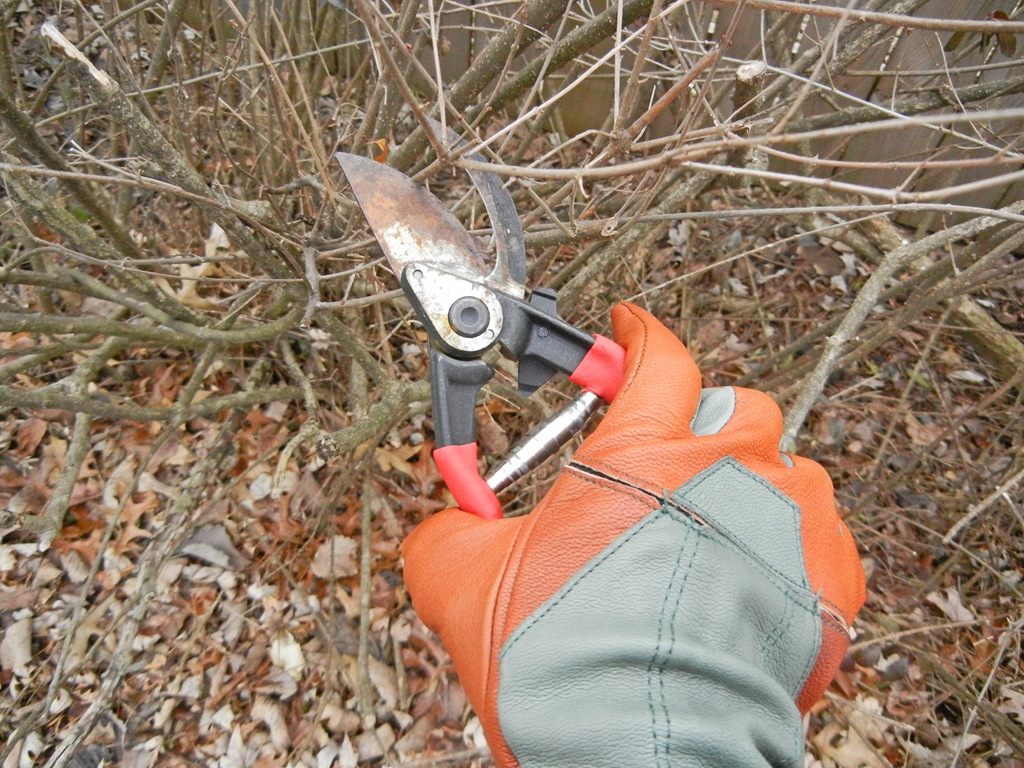 [Gloves%2520Trim%255B4%255D.jpg]