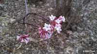 2012-01-09_14-50-35_294.jpg