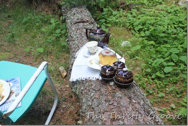 IMG_2497 IMG_2497