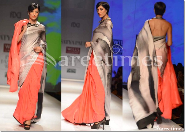 Satya_Paul_Half_and_Half_Sari
