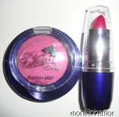 DSC01305_thumb15