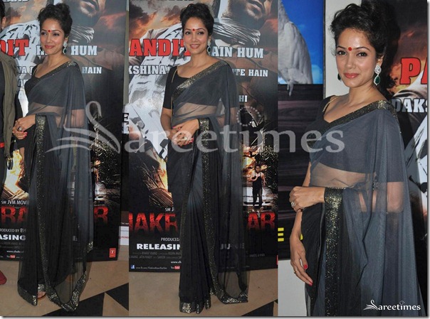 Vidya_Malwade_Grey_Saree