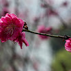 DSC_0805.jpg