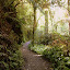 Ruakuri Bushwalk - Waitomo, New Zealand
